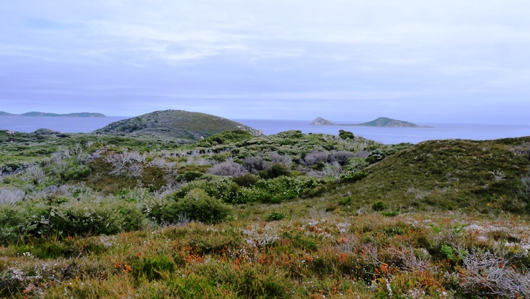 Blick vom Glennie Lookout